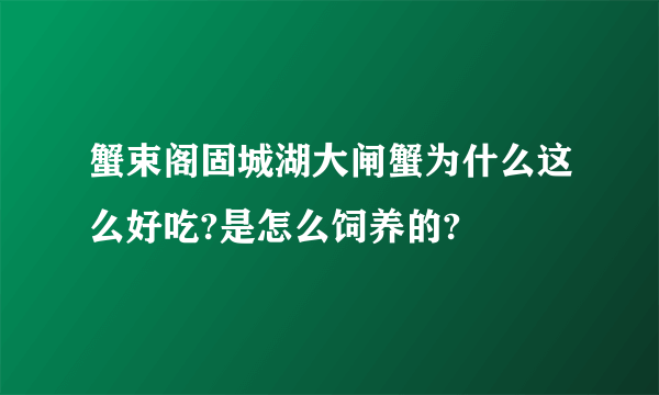 蟹束阁固城湖大闸蟹为什么这么好吃?是怎么饲养的?