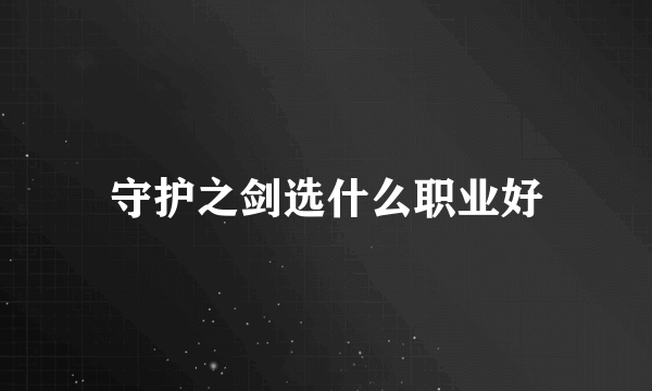 守护之剑选什么职业好