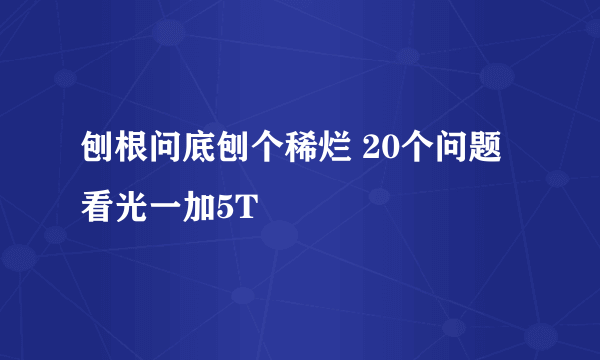 刨根问底刨个稀烂 20个问题看光一加5T