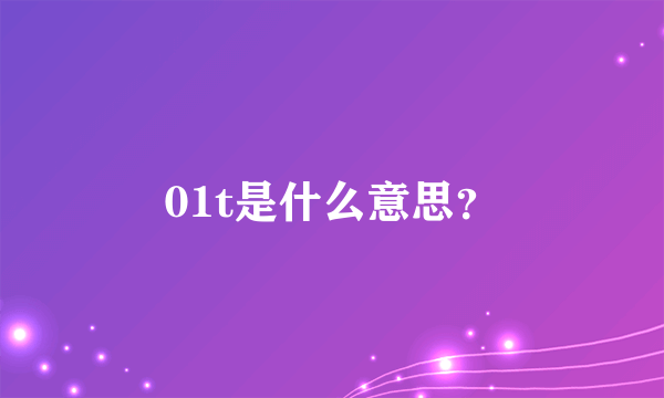 01t是什么意思？