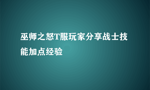 巫师之怒T服玩家分享战士技能加点经验