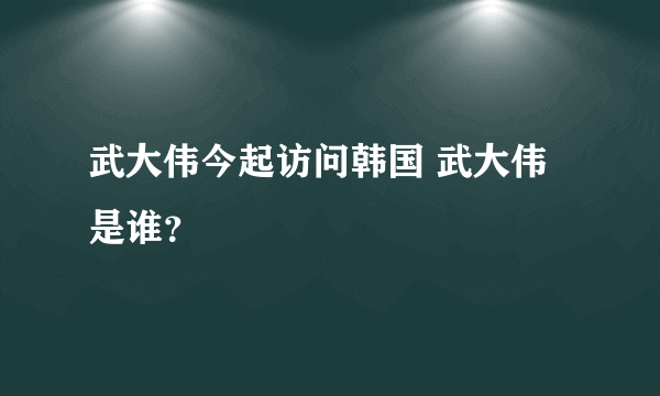 武大伟今起访问韩国 武大伟是谁？