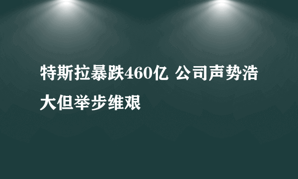 特斯拉暴跌460亿 公司声势浩大但举步维艰