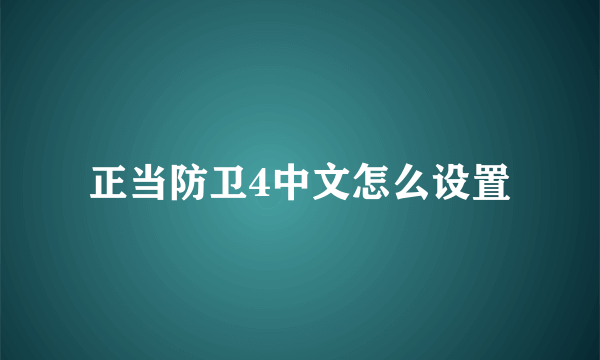 正当防卫4中文怎么设置