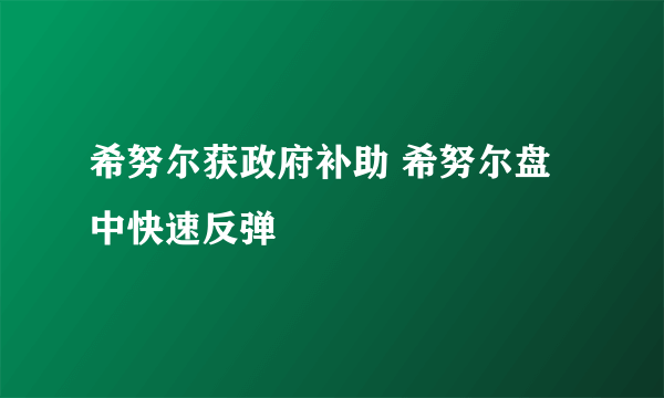 希努尔获政府补助 希努尔盘中快速反弹