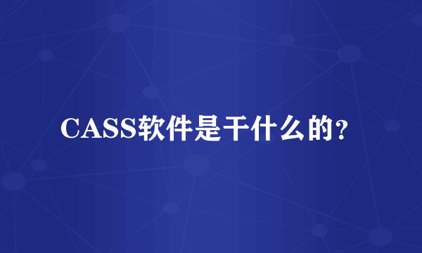 CASS软件是干什么的？