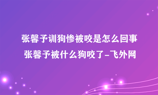 张馨予训狗惨被咬是怎么回事 张馨予被什么狗咬了-飞外网