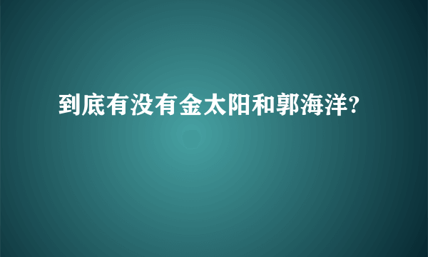 到底有没有金太阳和郭海洋?