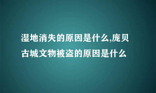 湿地消失的原因是什么,庞贝古城文物被盗的原因是什么