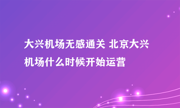 大兴机场无感通关 北京大兴机场什么时候开始运营