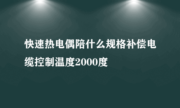 快速热电偶陪什么规格补偿电缆控制温度2000度