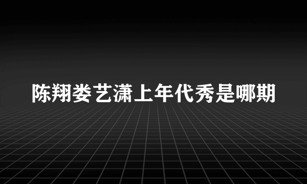 陈翔娄艺潇上年代秀是哪期