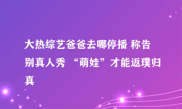 大热综艺爸爸去哪停播 称告别真人秀 “萌娃”才能返璞归真