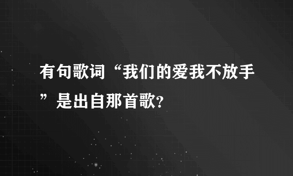 有句歌词“我们的爱我不放手”是出自那首歌？