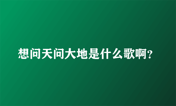 想问天问大地是什么歌啊？