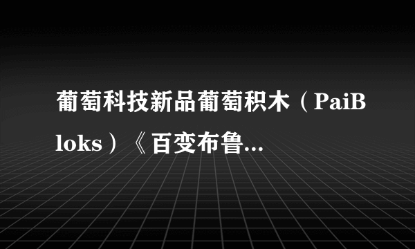 葡萄科技新品葡萄积木（PaiBloks）《百变布鲁可》系列几岁的孩子能玩