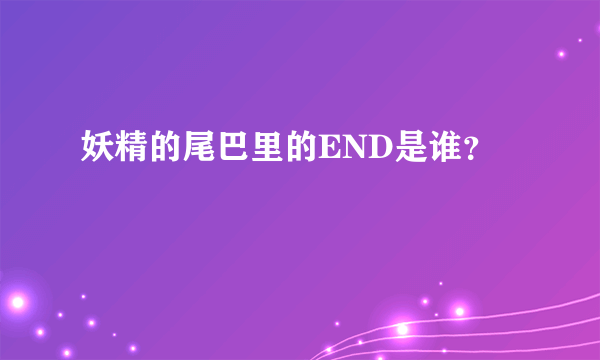 妖精的尾巴里的END是谁？