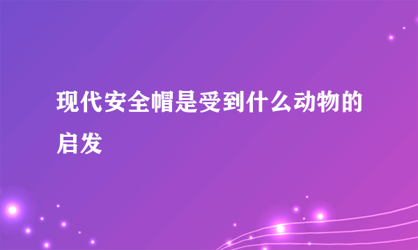 现代安全帽是受到什么动物的启发