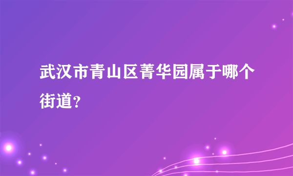 武汉市青山区菁华园属于哪个街道？