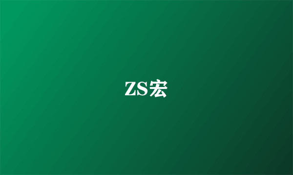 ZS宏