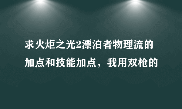 求火炬之光2漂泊者物理流的加点和技能加点，我用双枪的