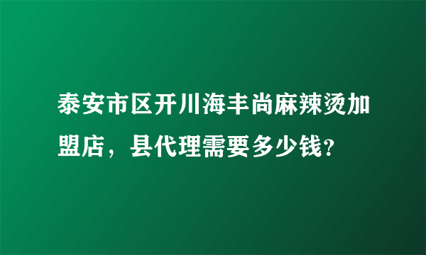 泰安市区开川海丰尚麻辣烫加盟店，县代理需要多少钱？