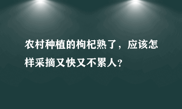 农村种植的枸杞熟了，应该怎样采摘又快又不累人？