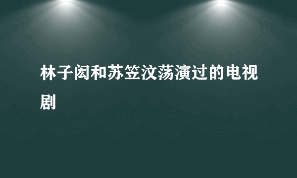 林子闳和苏笠汶荡演过的电视剧