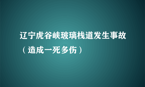 辽宁虎谷峡玻璃栈道发生事故（造成一死多伤）