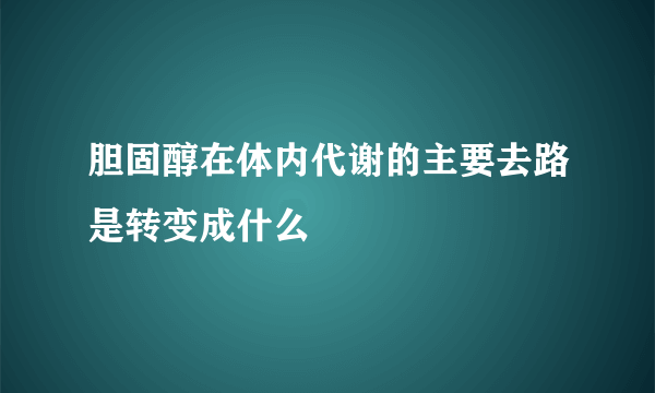 胆固醇在体内代谢的主要去路是转变成什么