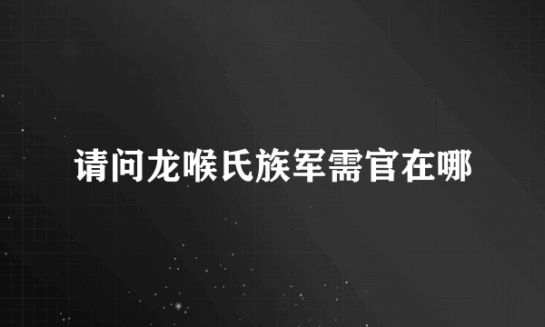 请问龙喉氏族军需官在哪