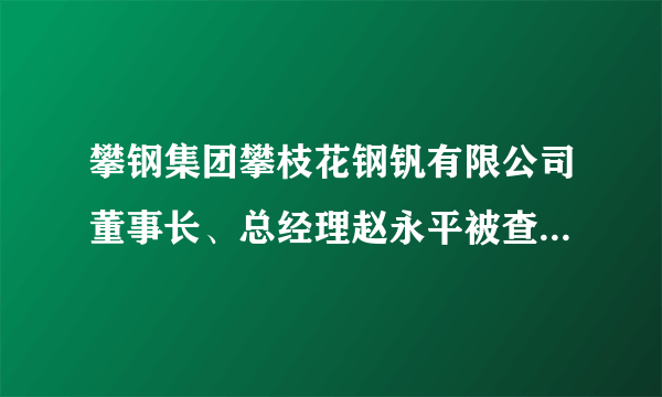 攀钢集团攀枝花钢钒有限公司董事长、总经理赵永平被查(图｜简历)