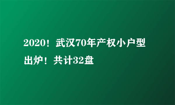 2020！武汉70年产权小户型出炉！共计32盘