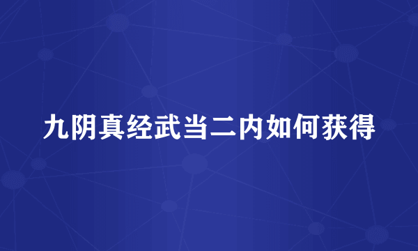 九阴真经武当二内如何获得