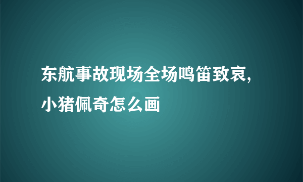 东航事故现场全场鸣笛致哀,小猪佩奇怎么画