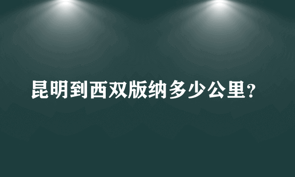 昆明到西双版纳多少公里？