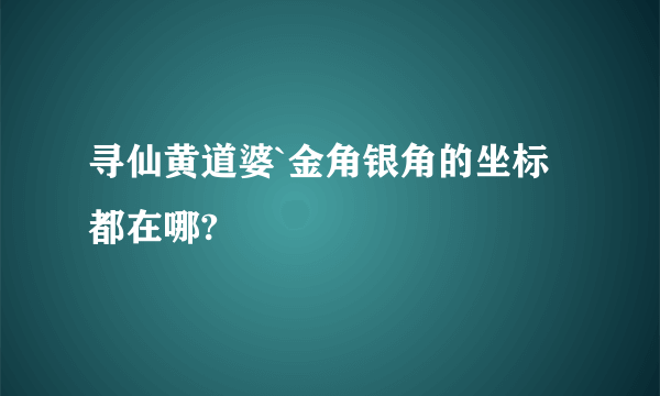 寻仙黄道婆`金角银角的坐标都在哪?