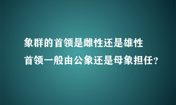 象群的首领是雌性还是雄性 首领一般由公象还是母象担任？