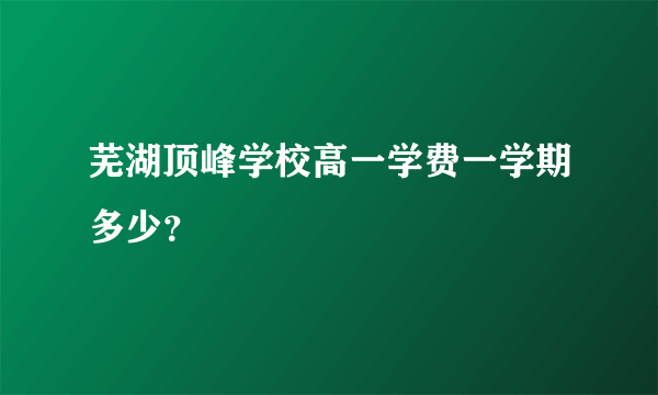 芜湖顶峰学校高一学费一学期多少？