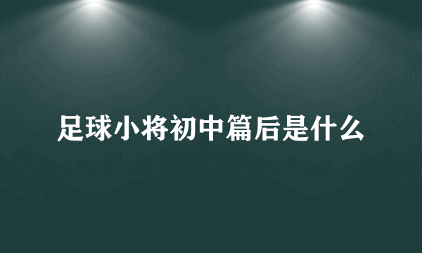 足球小将初中篇后是什么