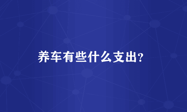 养车有些什么支出？