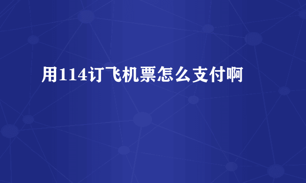 用114订飞机票怎么支付啊