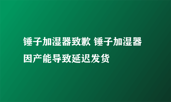 锤子加湿器致歉 锤子加湿器因产能导致延迟发货