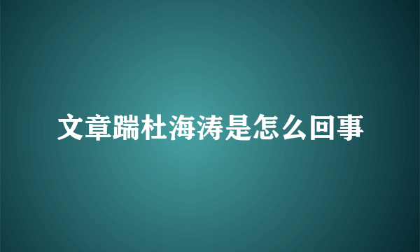 文章踹杜海涛是怎么回事