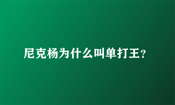 尼克杨为什么叫单打王？