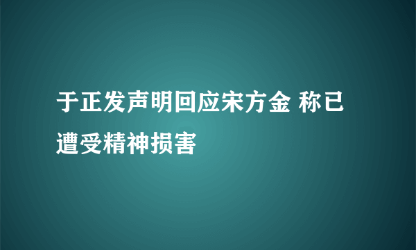 于正发声明回应宋方金 称已遭受精神损害