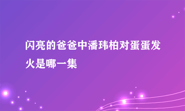 闪亮的爸爸中潘玮柏对蛋蛋发火是哪一集