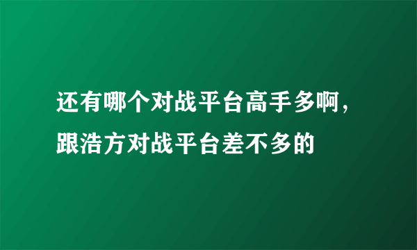 还有哪个对战平台高手多啊，跟浩方对战平台差不多的