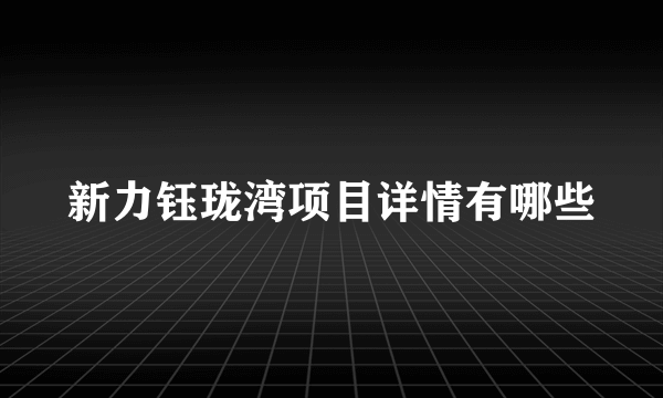 新力钰珑湾项目详情有哪些