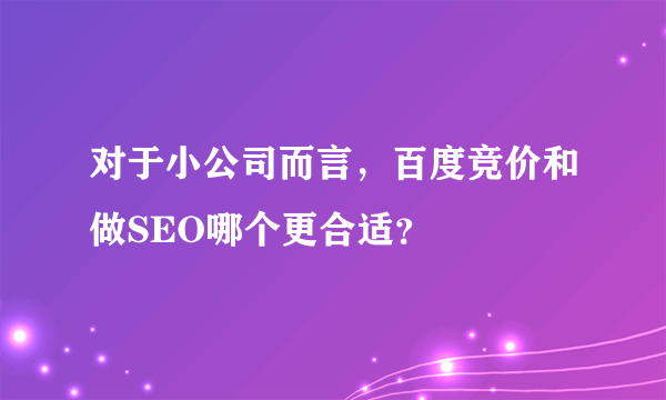 对于小公司而言，百度竞价和做SEO哪个更合适？